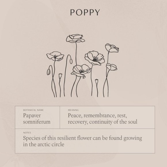 Poppy August Birth Flower Dainty Charm Necklace - Picture 5 of 16